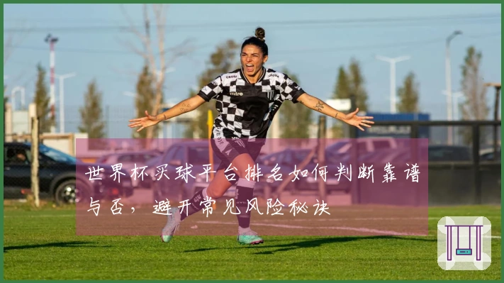 世界杯买球平台排名如何判断靠谱与否，避开常见风险秘诀